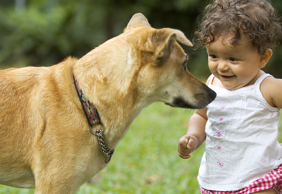 kind und hund